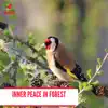 Various Artists - Inner Peace in Forest